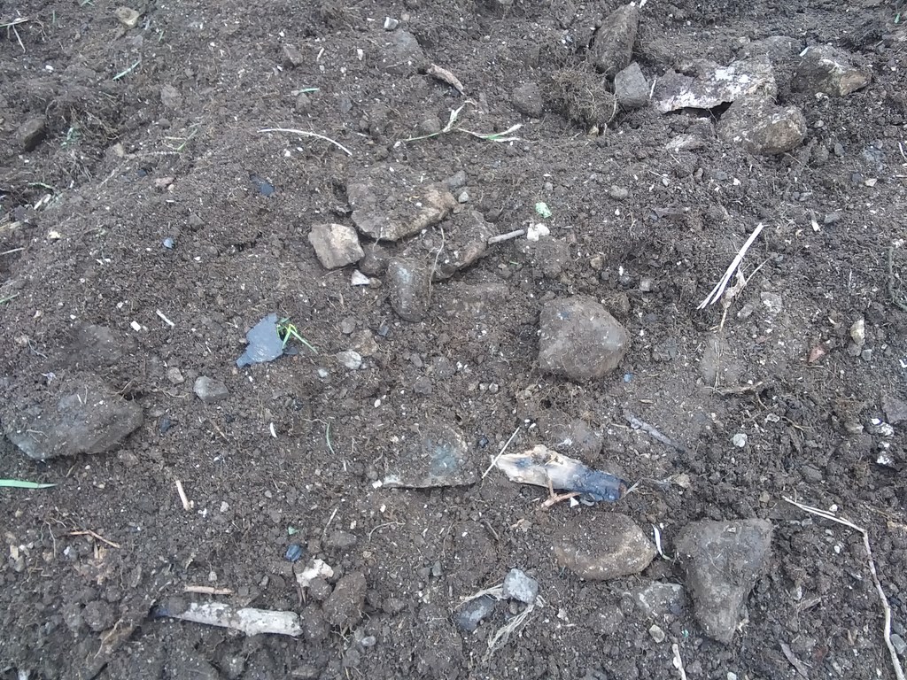 Christopher Greaves 20240428_20240428_154739.jpg